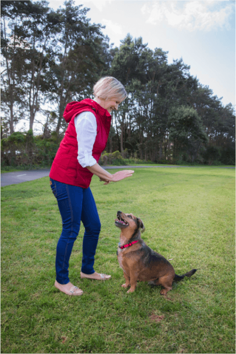 Dog park personalities (of the human kind)