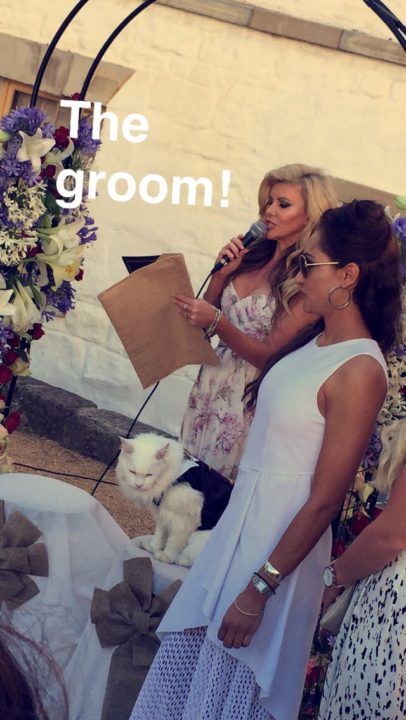 An Un-fur-gettable Wedding – Between a Cat and a Dog!