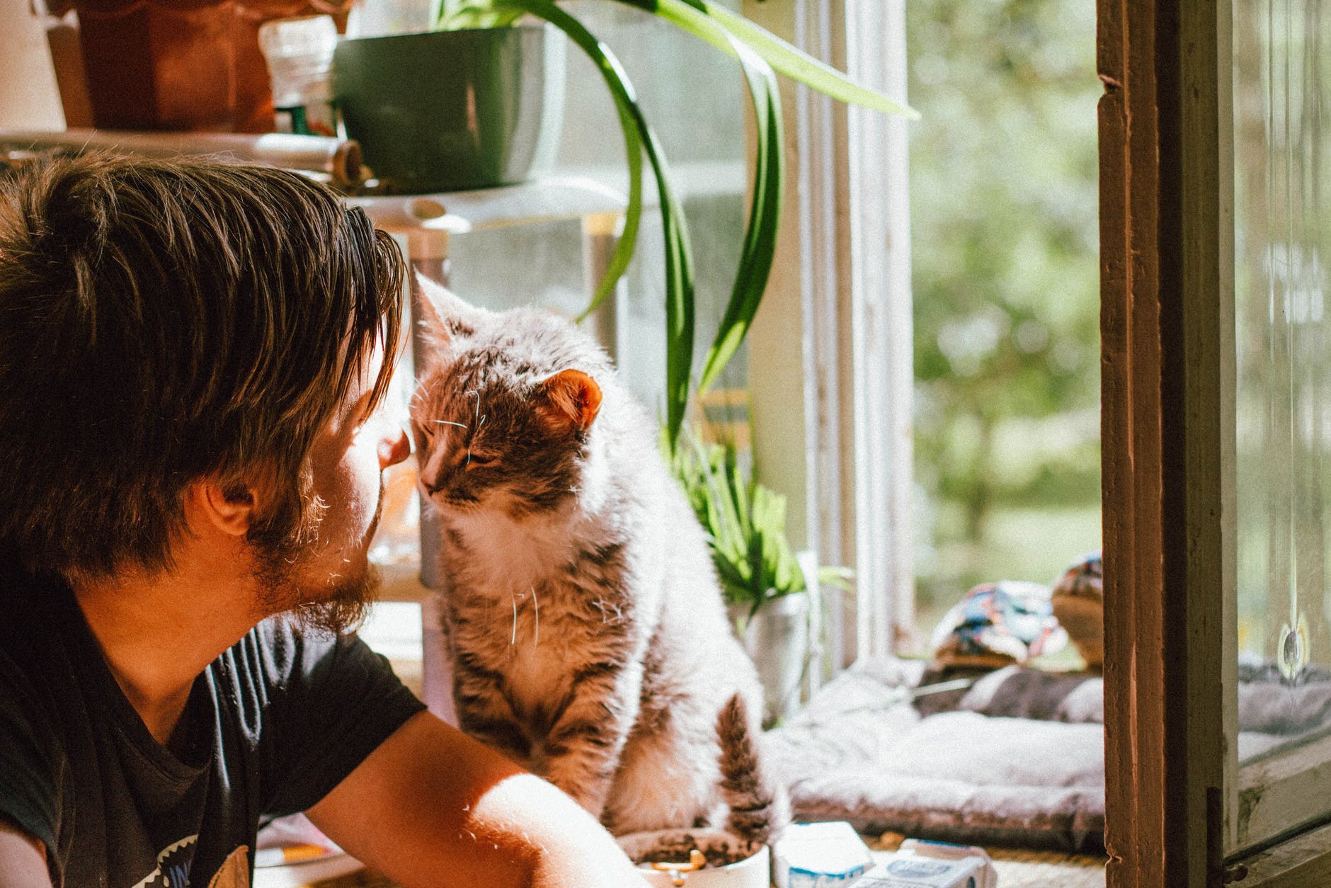 Man's best friend is his cat