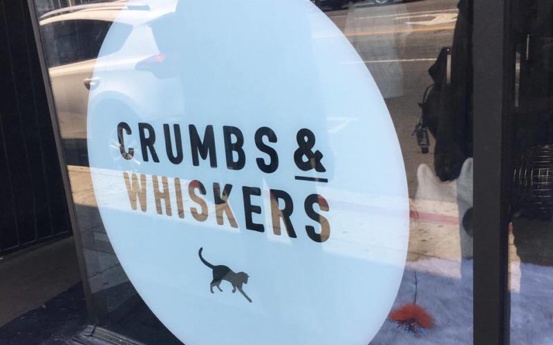 Crumbs & Whiskers cat cafe