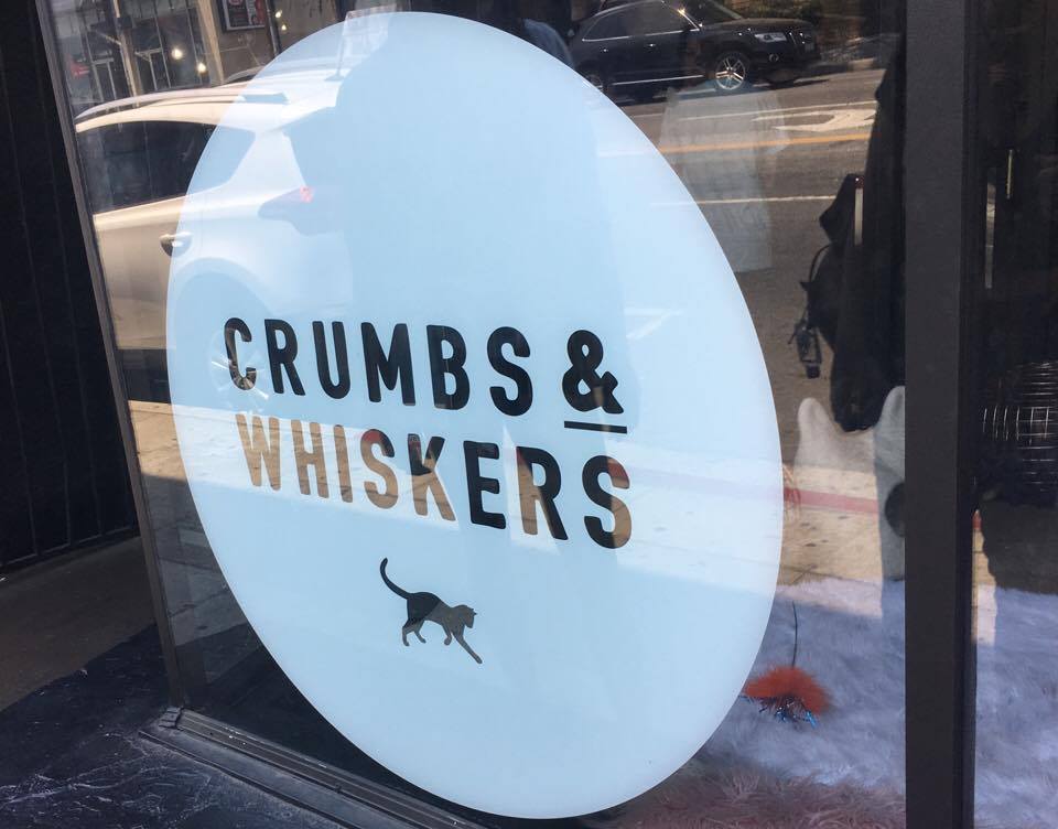 Crumbs & Whiskers cat cafe