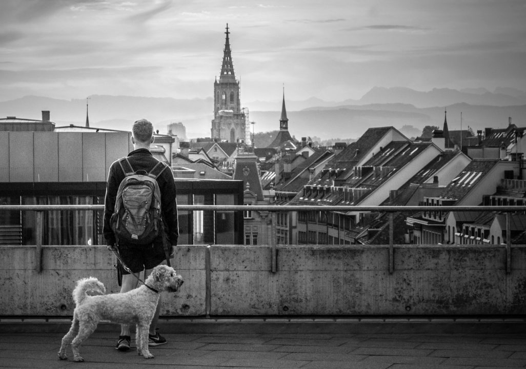 Living in the city with your dog