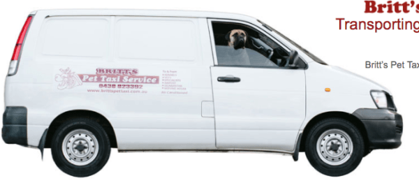 Pet business: Pet and Animal Taxi