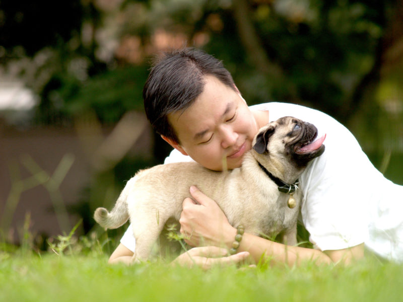 ‘Pet mad’ Aussies admit to changing lifestyle to keep pets happy