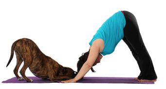 5 Reasons You Should Be Doing Yoga with Your Dog