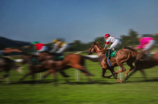 Why horse-racing in Australia needs a social licence to operate