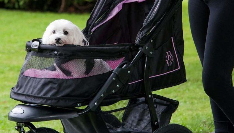 using a pet stroller