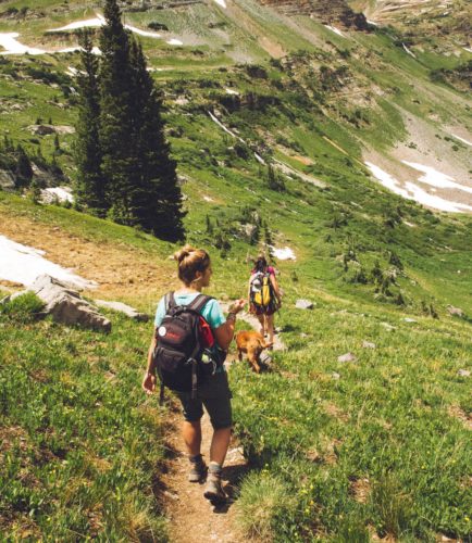 Hiking with dogs