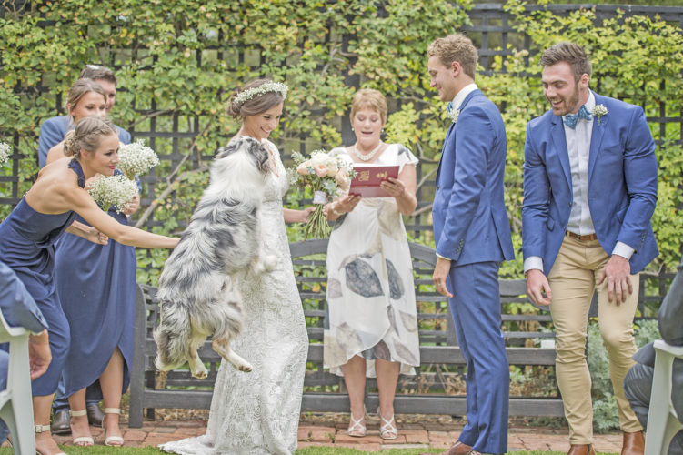 Pets Now Becoming Most Important Wedding Guest