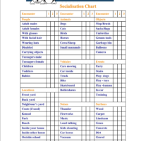 Puppy Socialisation Chart