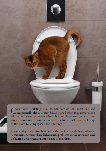 Cat Toileting Problems Solved